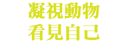  凝視動物 看見自己